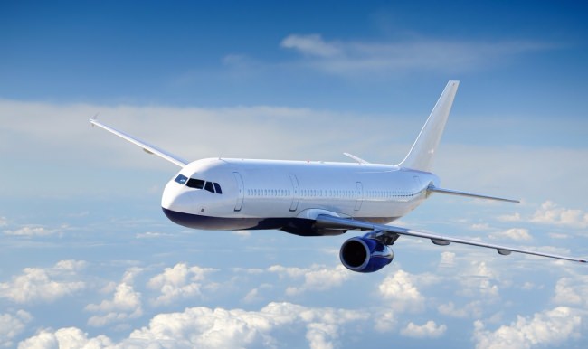 Atatürk Havalimanı'nda kuş alarmı