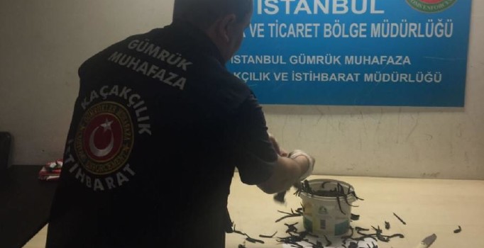 Atatürk Havalimanında tül çorap içerisinde 83 kilogram sülük yakalandı