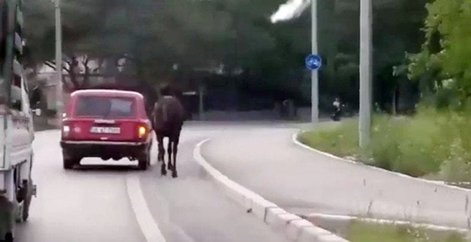 Atı aracının arkasına bağladığı iple götürdü