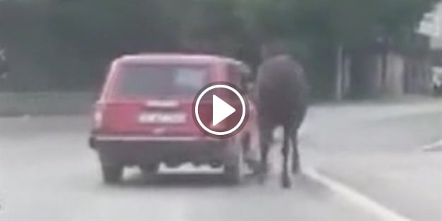 Atı aracının arkasına bağlayıp sürükledi
