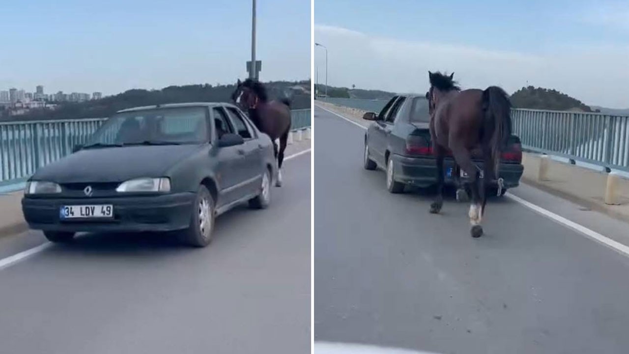 Atı otomobile bağlayarak götürdü, cezayı yedi
