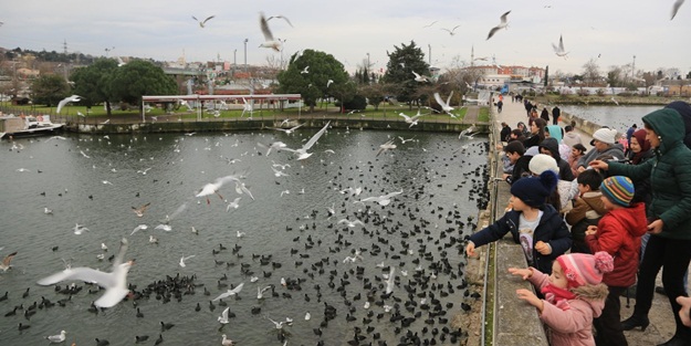 Atık ekmekler martılara yem oldu