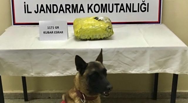 ‘ATİK’ uyuşturucuya geçit vermedi