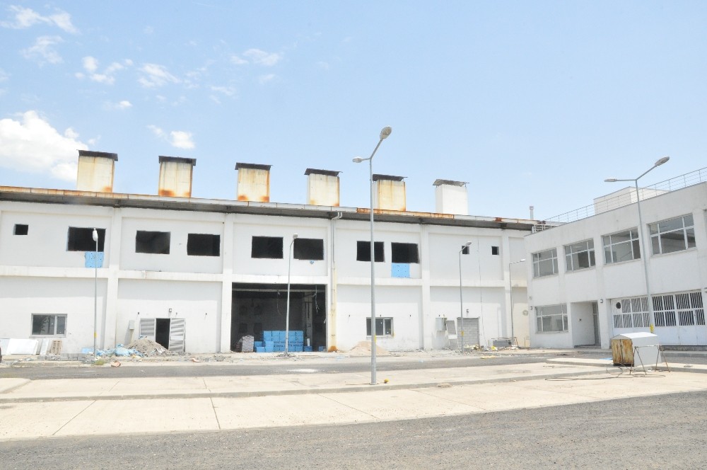 Atıl durumdaki kömürlük 500 kişiye ekmek kapısı oldu 