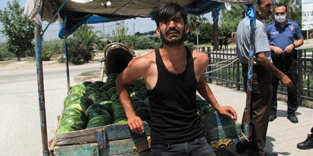 Atın yaptıkları sahibini hüngür hüngür ağlattı