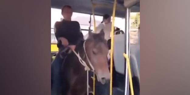 Atla otobüse bindi!