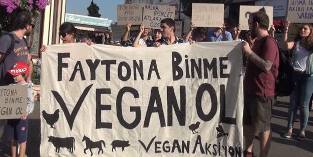 Atları köle yapıyorsunuz diye eylem yaptılar