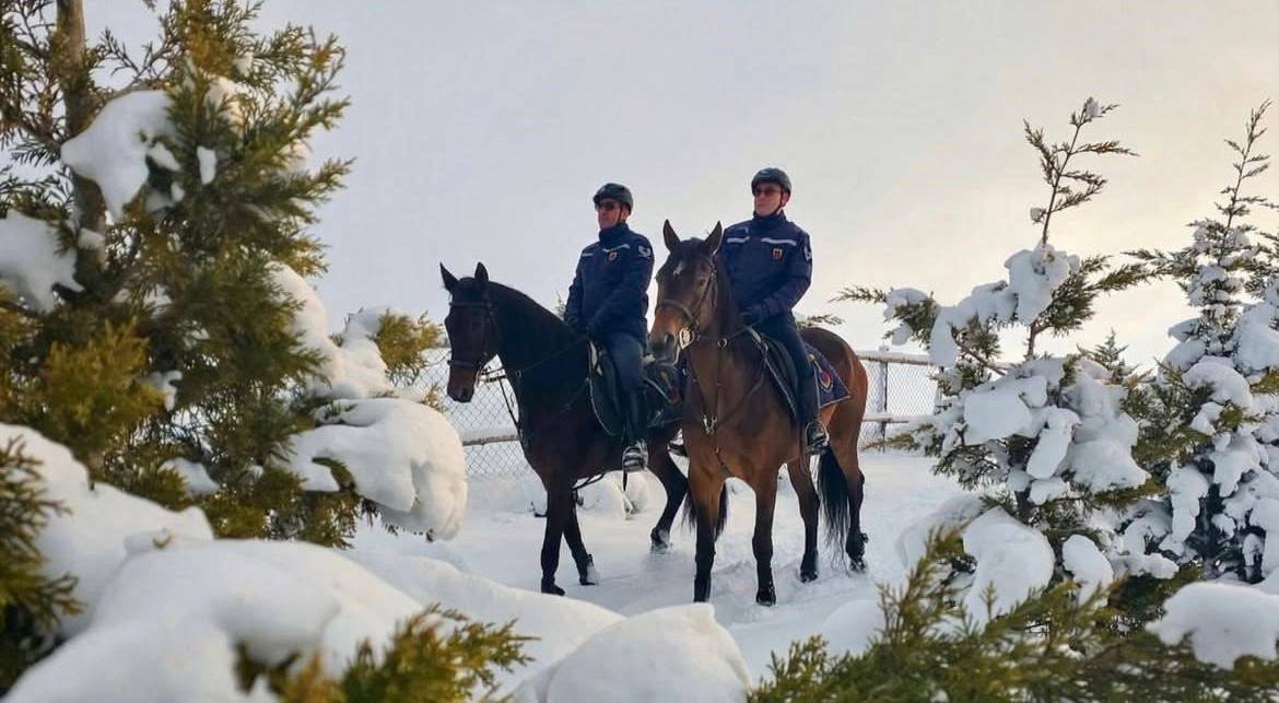 Atlı jandarmadan kış mesaisi!