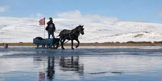 Atlı kızaklar Çıldır Gölü'nün kısmen donan yüzeyine çıkmaya başladı