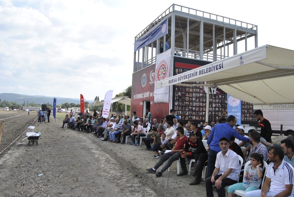 Atlı sporda Bursa farkı 
