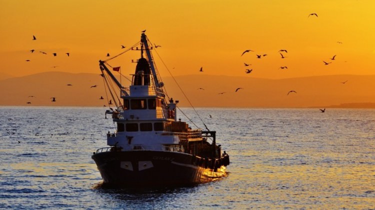 Av sezonunda ilk ay hüsranla geçti