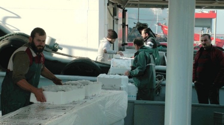 Av yasağı başladı balık fiyatları yükseldi!