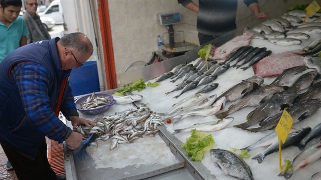 Av yasağı başladı balık zamlandı