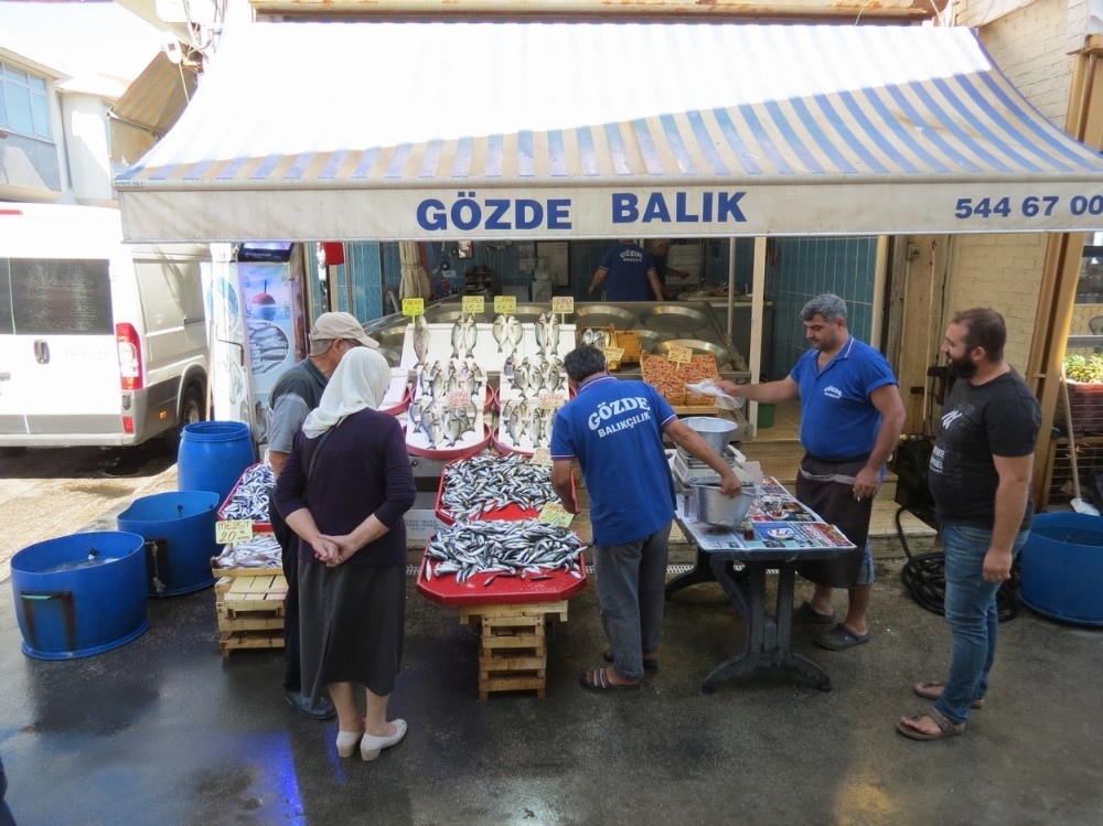 Av yasağı bitti, balık bollaştı 