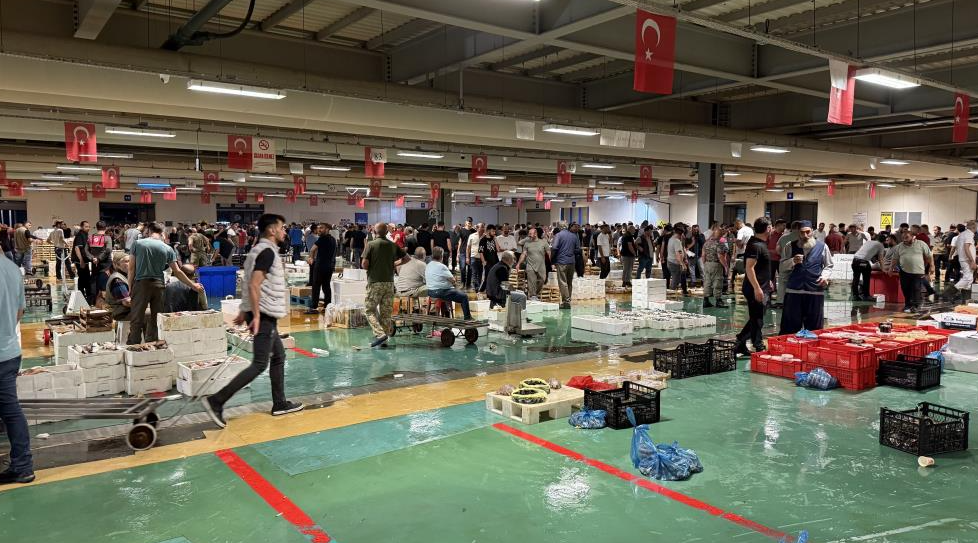 Av yasağı bitti balıkçılık sezonu açıldı