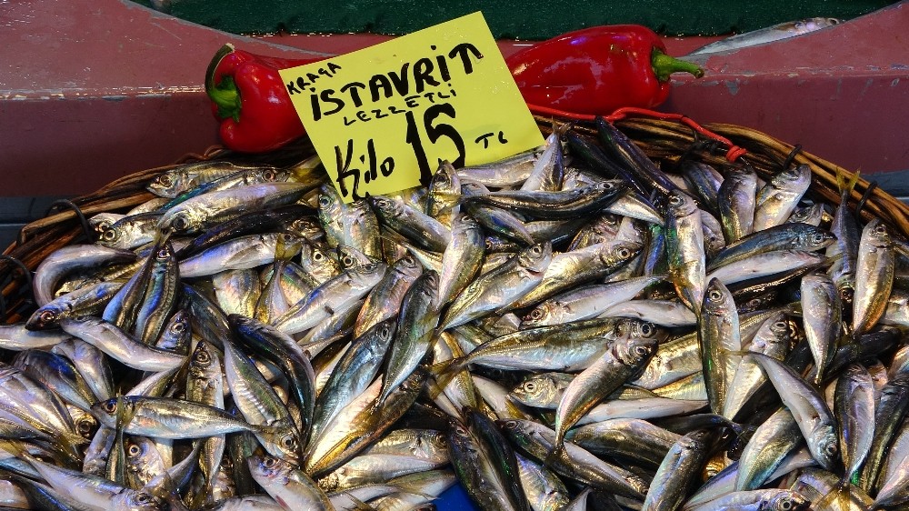Av yasağı kalktı Uşaklı vatandaş balığa koştu 