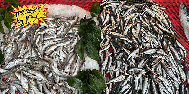 Av yasağı ve olumsuz hava koşulları tezgahı etkiledi