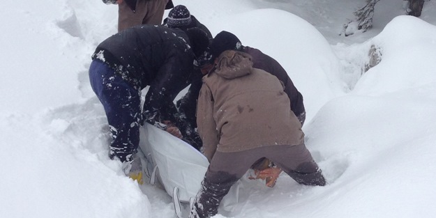 Ava çıktı, dönerek öldü