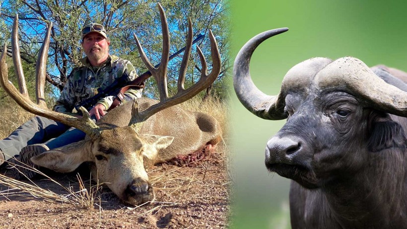 Ava giderken av oldu! Hayvan katliamıyla tanınan milyonerin sonu ibretlik oldu