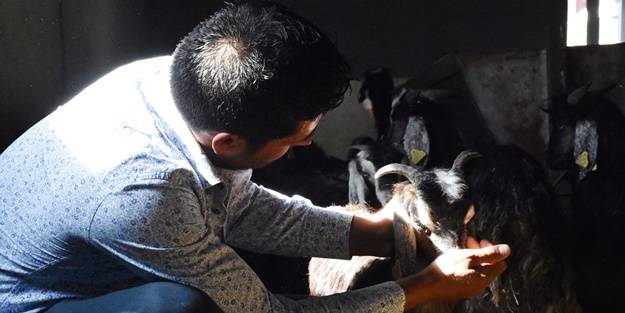 AVM yöneticiliğini bırakıp bu işe başladı... Şimdi gelen siparişlere yetişemiyor