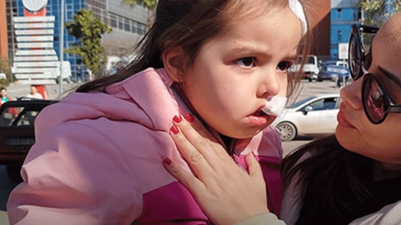 AVM'de köpek dehşeti: Annesiyle alışverişe gelmişti!