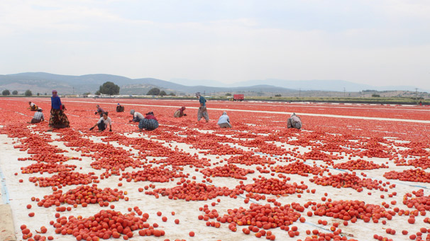 Avrupa, ABD, Kanada... Dünya sıraya girdi!