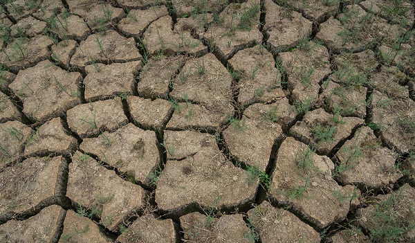Avrupa kuraklıkla boğuşuyor! Hidroelektrik santralinin kapısına kilit vuruldu