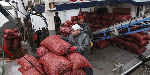 Türkiye'de tüketilmiyor! Avrupa mutfağının...