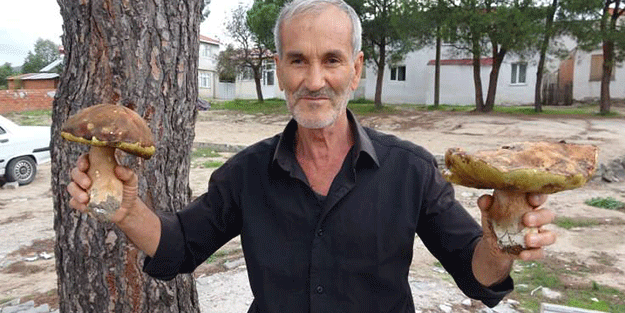 Avrupa peşine düştü! Mavi olanına dikkat edin