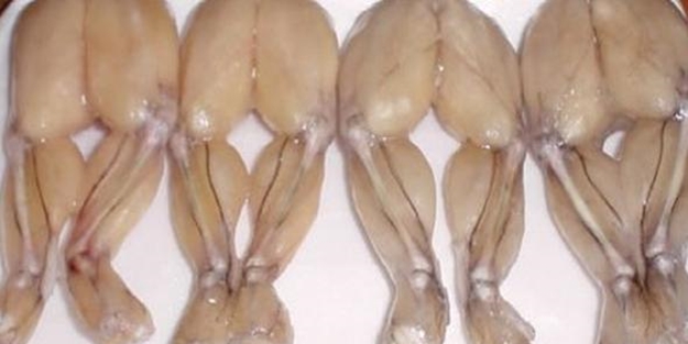 Avrupa tadına hayran! Türkiye'de üretiliyor...