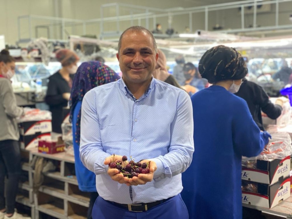 Avrupa, Türk kirazını bekliyor 