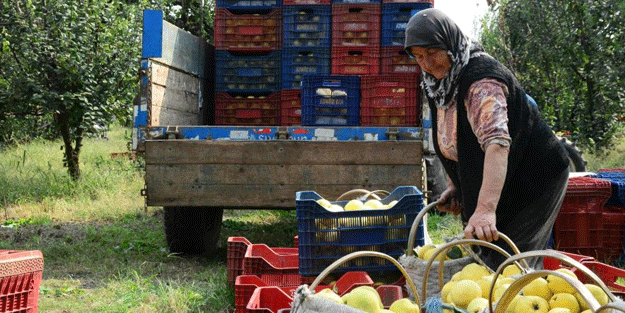 Avrupa ülkelerinin gözü kulağı bu köyde! ‘Gelse de yesek’