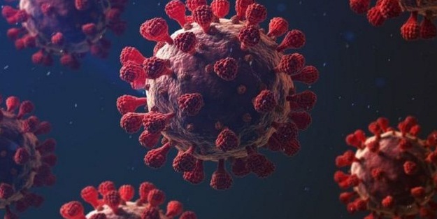 Avrupa ülkesi duyurdu: Sağlık sistemimiz çökmek üzere