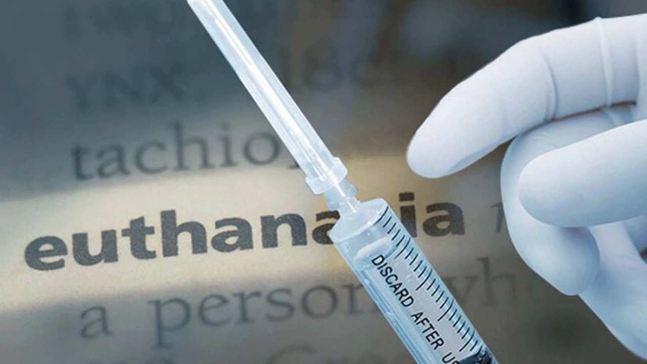 Avrupa ülkesi ‘intihar hakkı’ için referanduma gitti! Oyların yüzde 98’i sayıldı, sonuçlar açıklandı