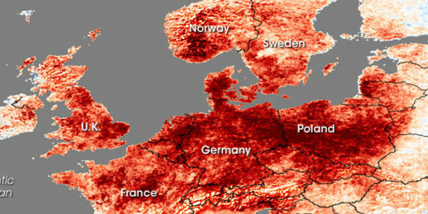 Avrupa ülkesi sıcak hava nedeniyle krizde! Uzman son 40 yılda en hızlı ısınan kıta belli oldu diyerek rakamı paylaştı