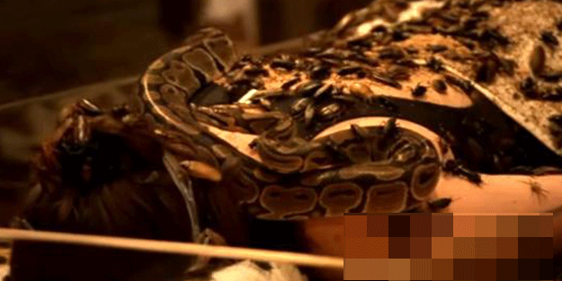 Avrupa ülkesinde iğrenç olay! ‘Survivor’da mide bulandıran anlar