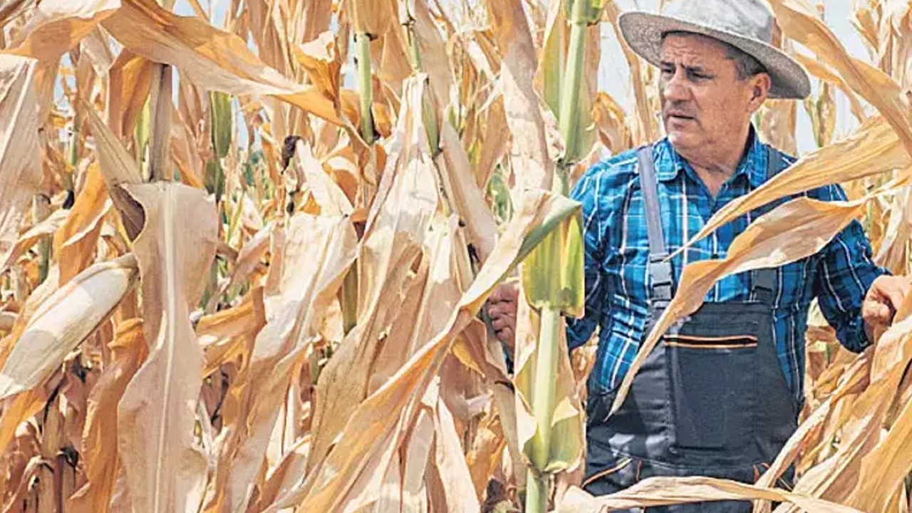 Avrupa ve Akdeniz’de bir şeyler oluyor: Rekor kuraklık! Çok konuşulacak sözler