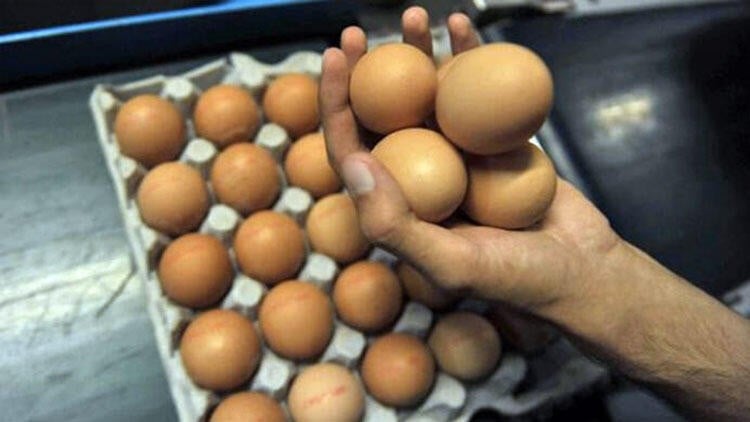 Avrupa’da büyük skandal… Binlerce yumurta toplatılıyor