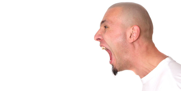 Avrupa'da 'devlet başkanına hakaret' suç mu?