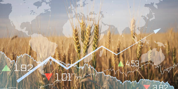 Avrupa'da gıda krizi kapıda: Tahıl piyasası çöktü!