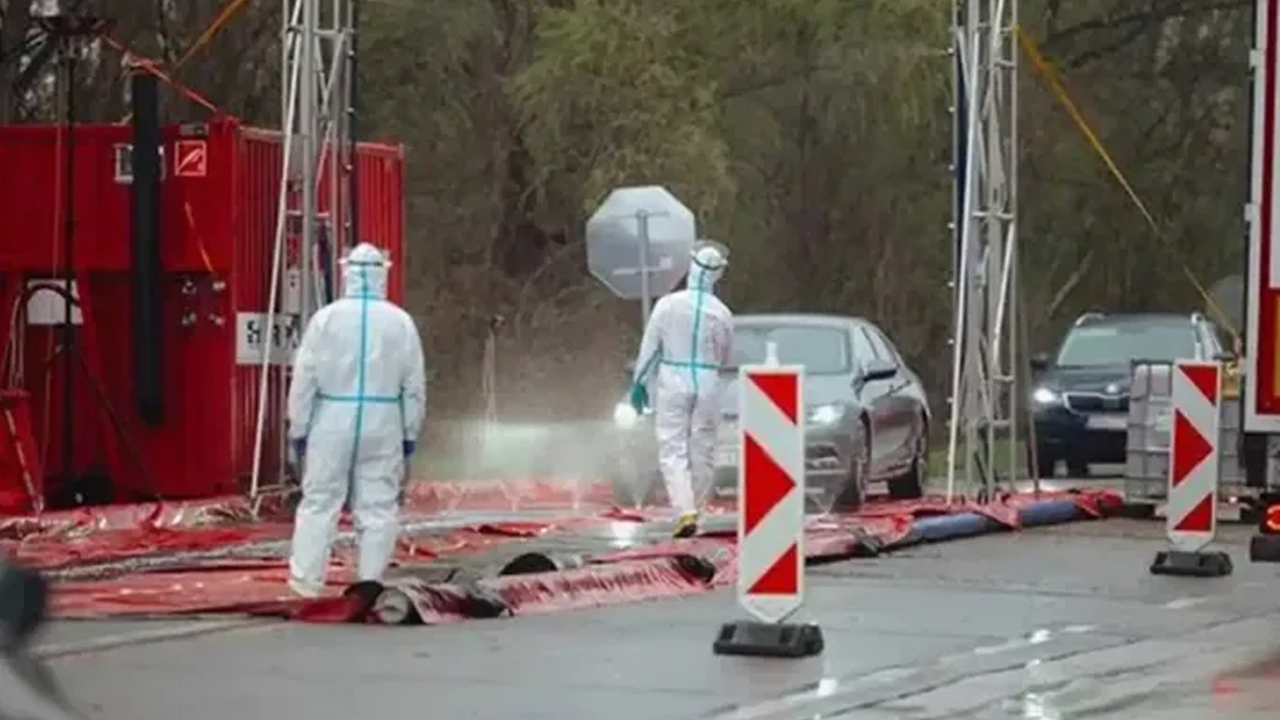 Avrupa'da şap hastalığı alarmı!