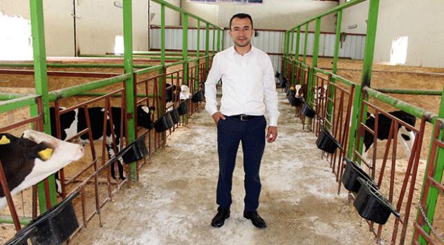 Avrupa'daki yüksek vergiden kaçtı, Türkiye'de sütçü oldu