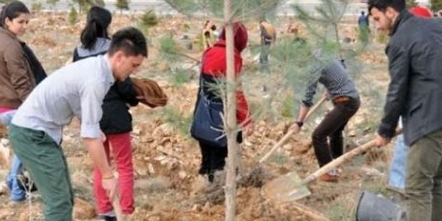 Geziciler bu habere dikkat!