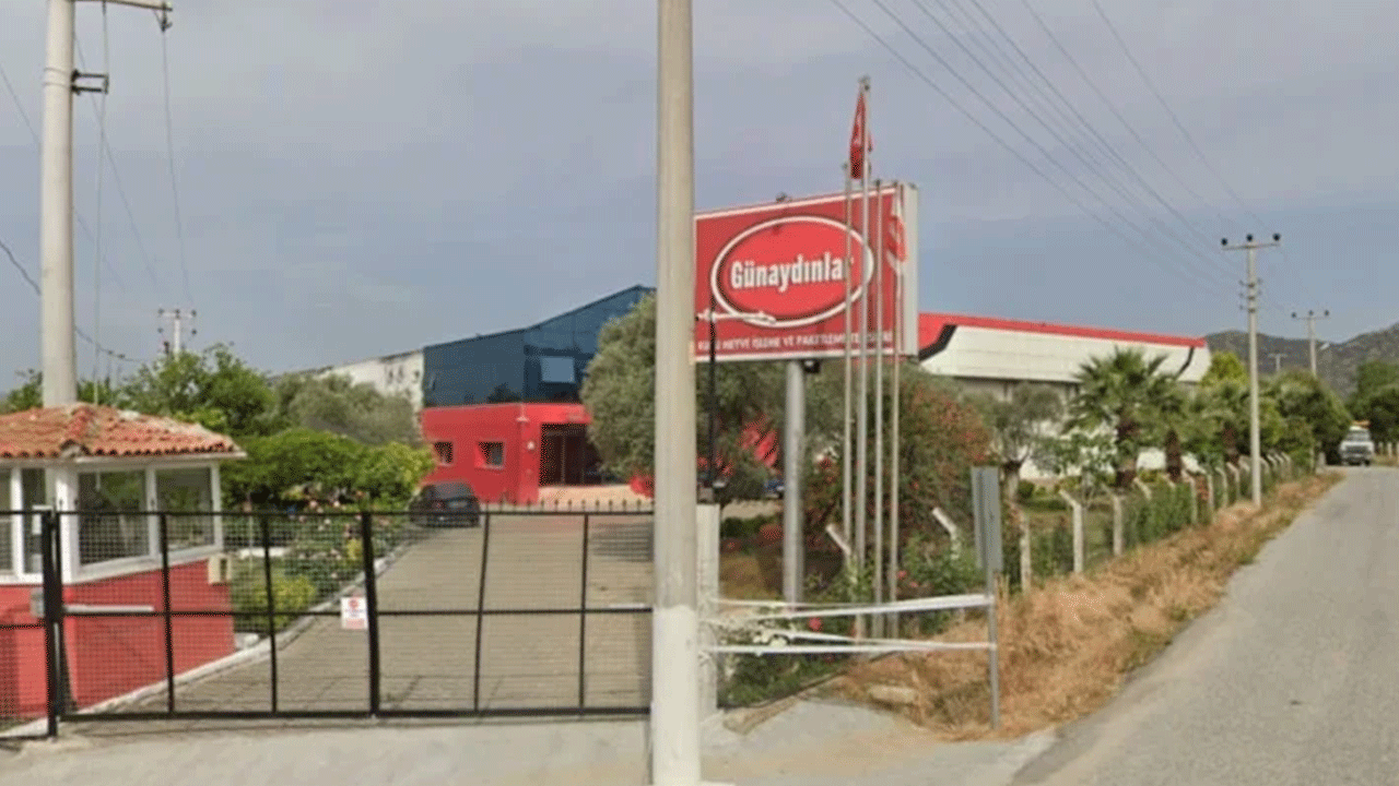 Avrupa'ya ihraç edilen ürünler geri gönderildi! Türk gıda firması iflas etti!