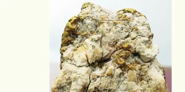 Avustralya’da heyecan veren keşif! Binlerce dolarlık hazine buldu: Şok sözler sarf etti, duyanlar şaştı kaldı