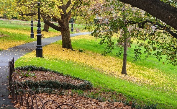 Avustralya'da sonbahar güzelliği yaşanıyor