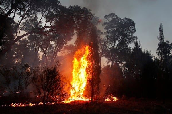 Avustralya’da yıldırım paniği