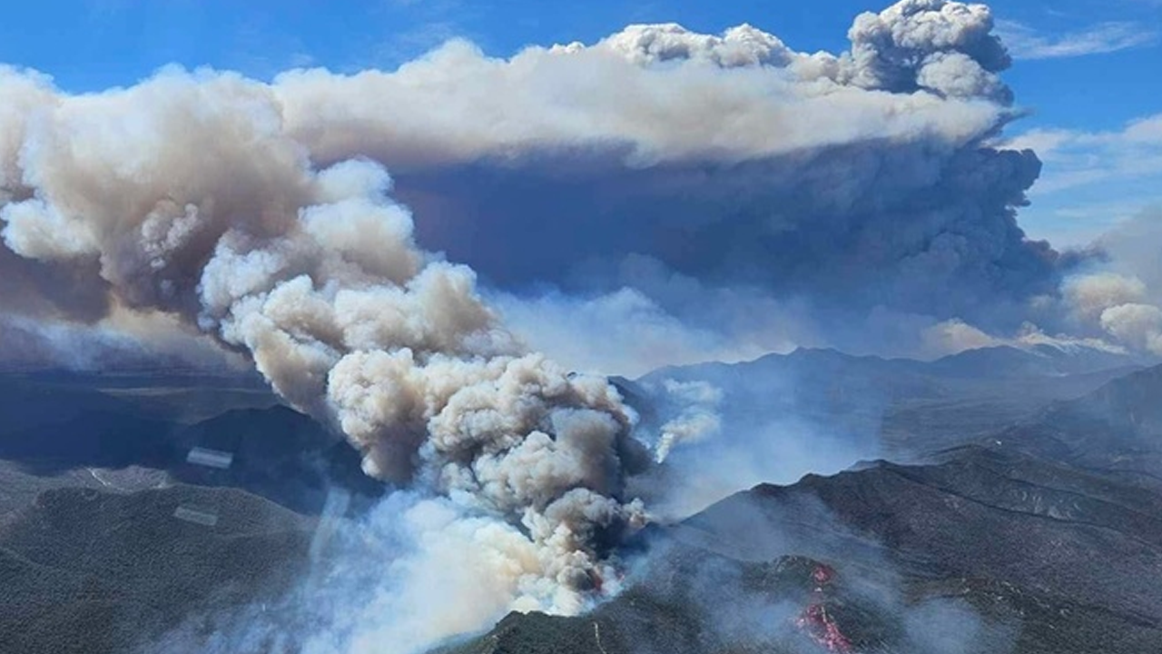 Avustralya'daki büyük orman yangını 3 hafta sonra kontrol altına alındı