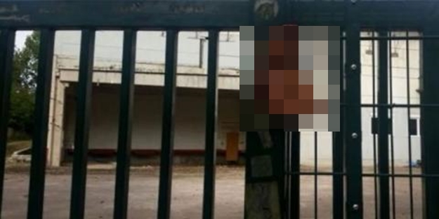 Avusturya istihbaratından 'Müslümanlara saldırı' itirafı!