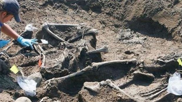 Avusturya'da 30 Sovyet askerine ait toplu mezar bulundu